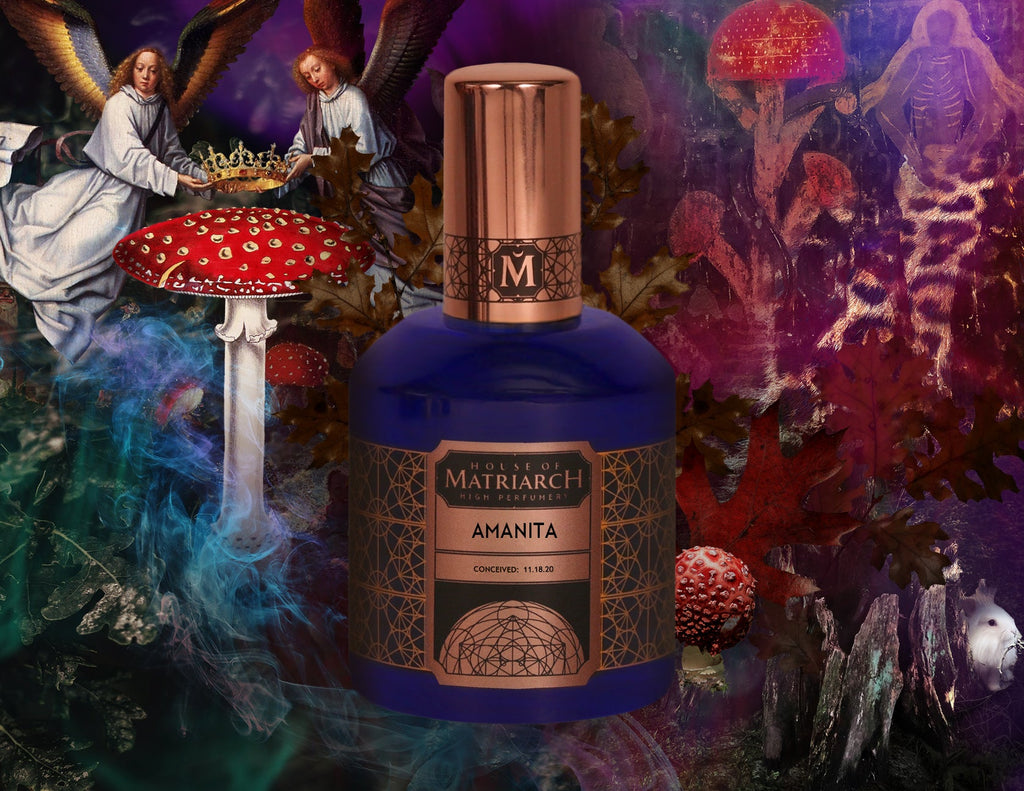 House of Matriarch High Perfumery AMANITA: New High Pefumery Release