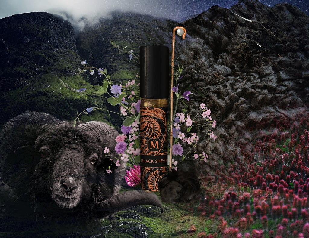 BLACK SHEEP - Natural Costus High Perfumery