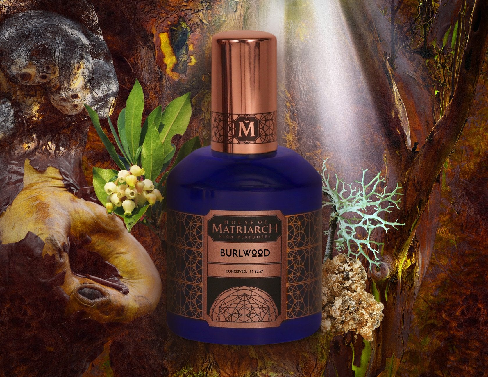 House of Matriarch - SEATTLE, WA - Natural, Organic, Vegan, Artisan & Niche High Perfumery BURLWOOD - Most Precious Wood Fragrance
