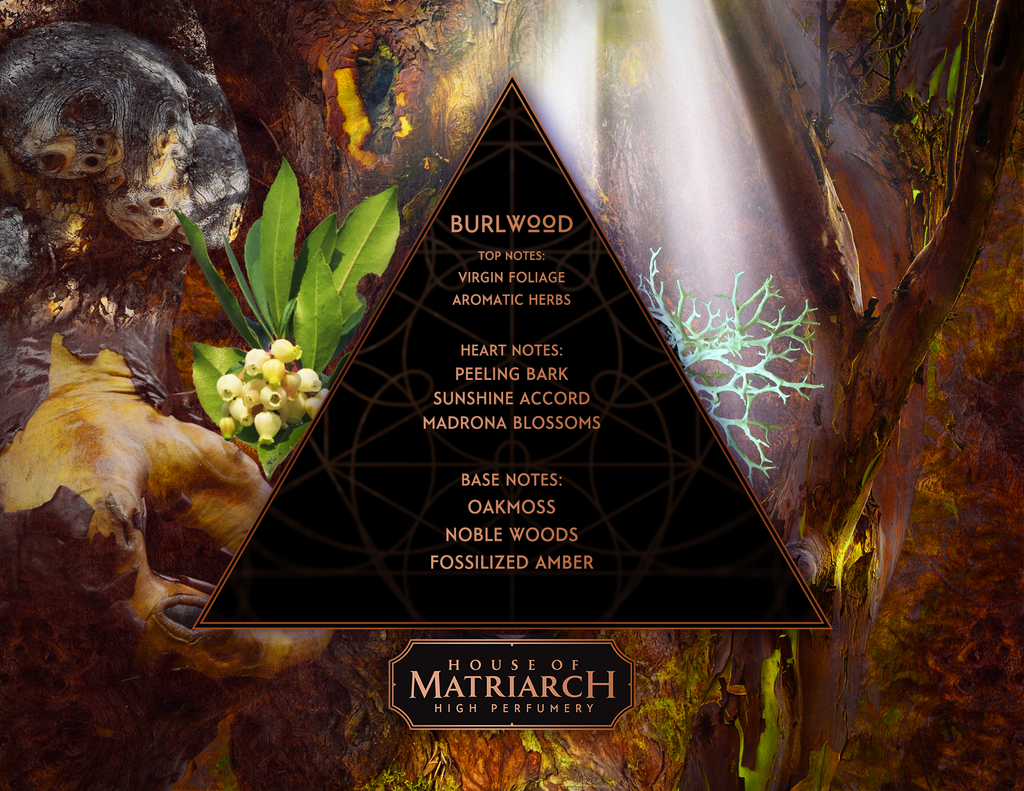 House of Matriarch - SEATTLE, WA - Natural, Organic, Vegan, Artisan & Niche High Perfumery BURLWOOD - Noble Woods Fragrance