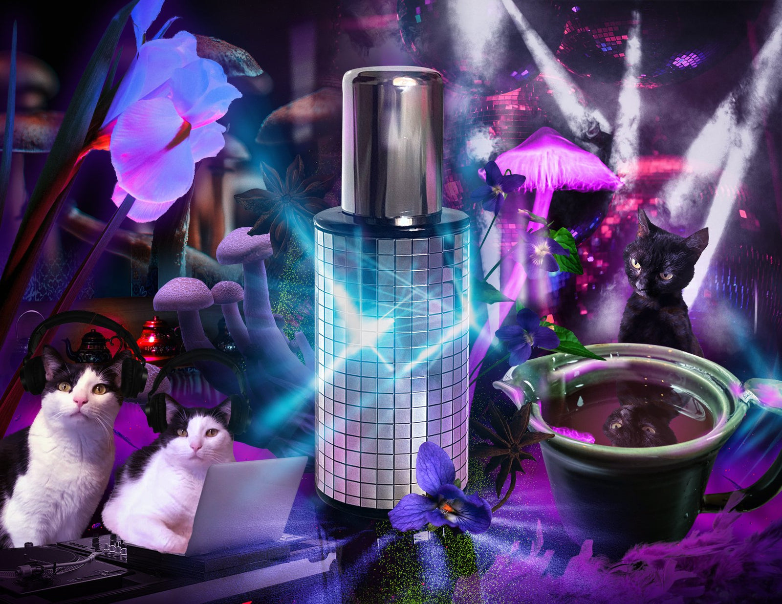 House of Matriarch - SEATTLE, WA - Natural, Organic, Vegan, Artisan & Niche High Perfumery KIKI