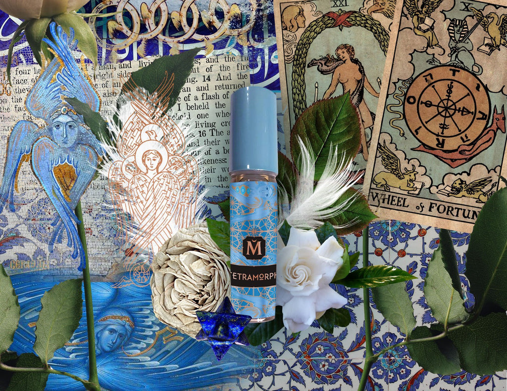 House of Matriarch - SEATTLE, WA - Natural, Organic, Vegan, Artisan & Niche High Perfumery *NEW* TETRAMORPH - Squaring the Scent Wheel