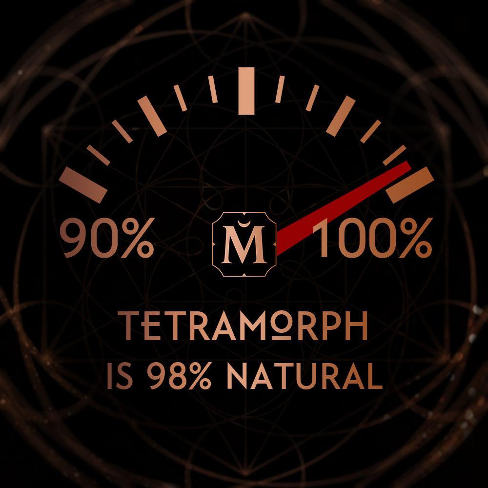 House of Matriarch - SEATTLE, WA - Natural, Organic, Vegan, Artisan & Niche High Perfumery TETRAMORPH - Squaring the Scent Wheel