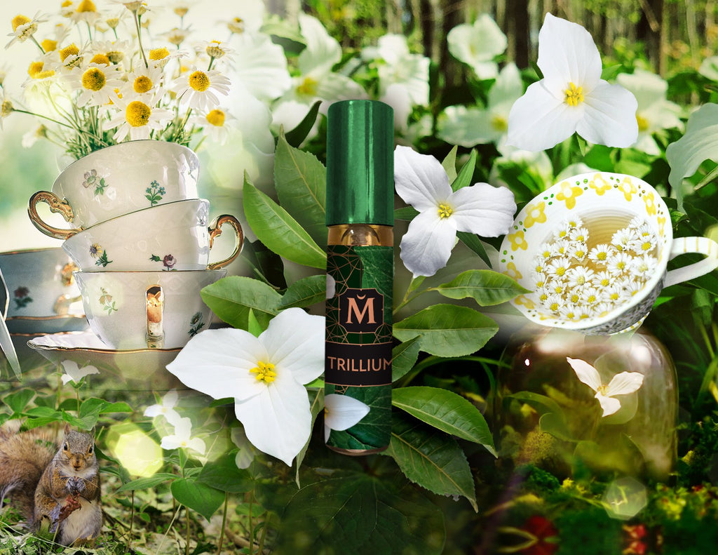 Matriarch Perfumes TRILLIUM - Artisan Green Tea Perfume